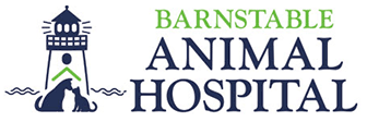 Link to Homepage of Barnstable Animal Hospital